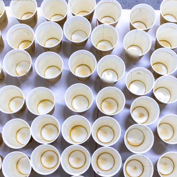 Global plastic reductionem offers practica solutions