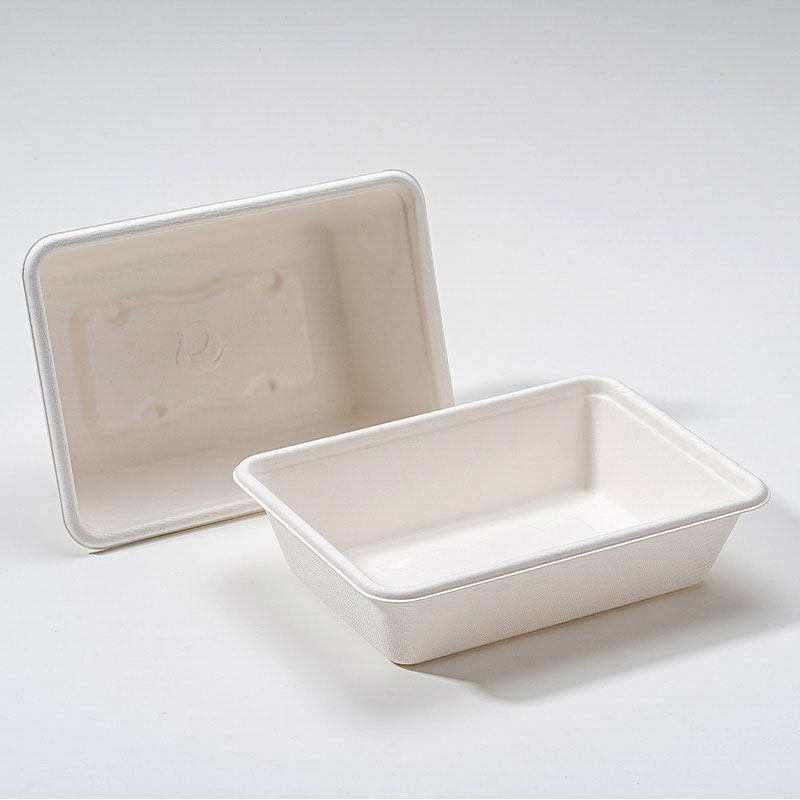 Cur Bagasse Quadratum Box est Future Sustainable Food Packaging?