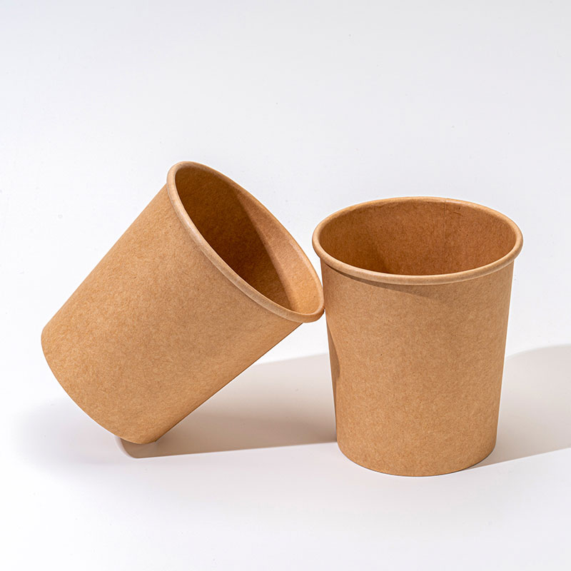 Quid commoda Can Food-Grade Paper Bowl Bring To Global Catering and Takeout Operators?
