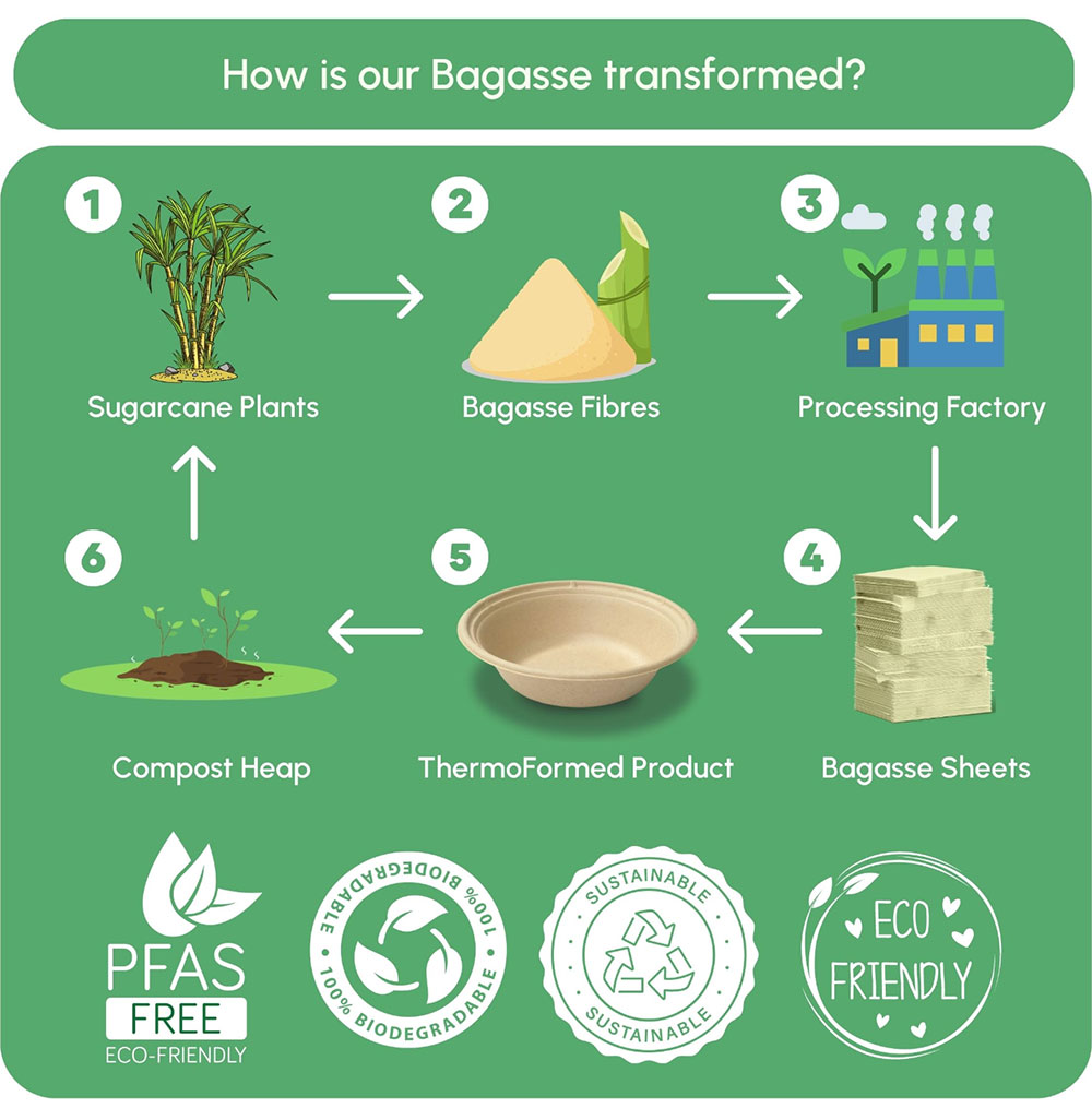 Sugarcane Pulp Clamshell