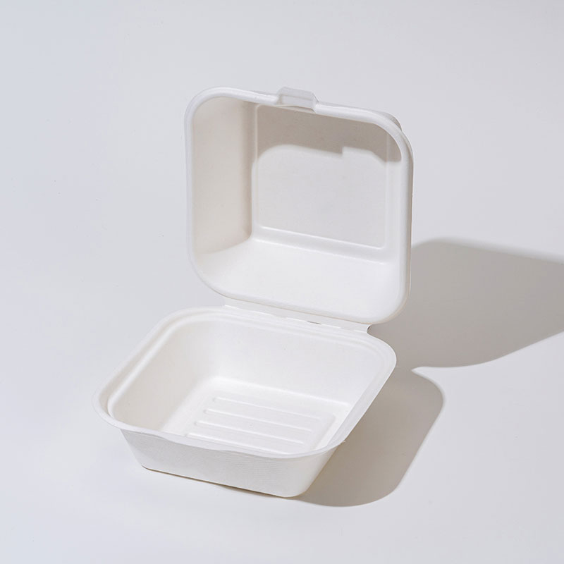 Sugarcane Pulp Clamshell