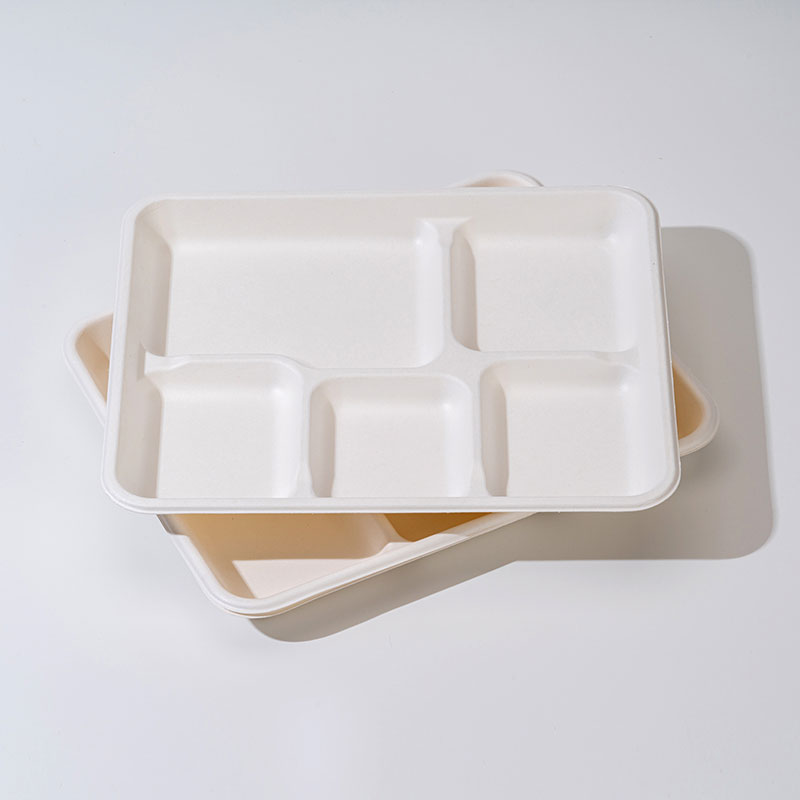 Sugarcane Pulp Compartment Tray