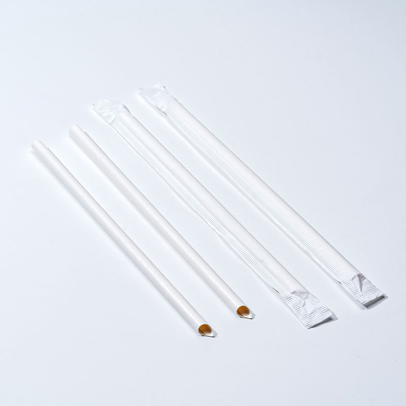 Paper Straw