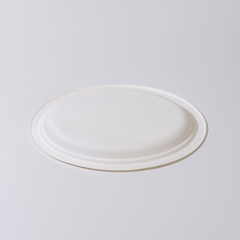 Sugarcane pulpam ovalis laminam