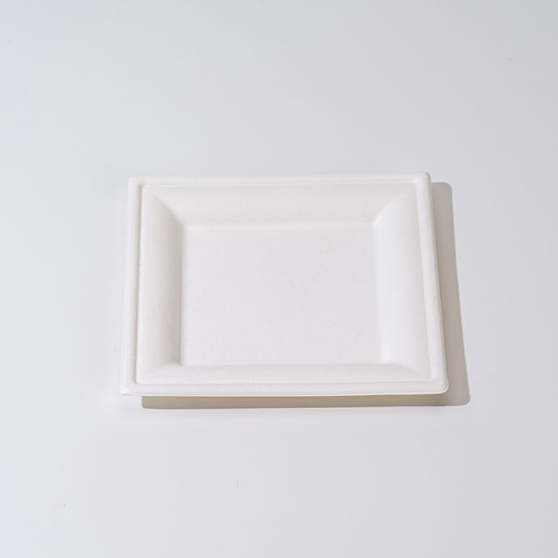 Sugarcane Pulp Tray